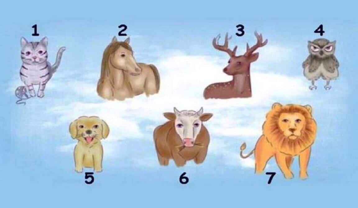 Test 7 animaux