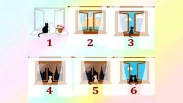 Test fenetre chat