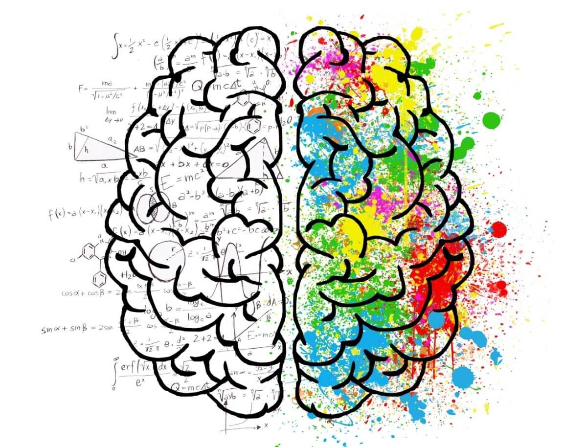 comment devenir plus intelligent ?