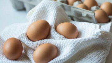 Oeufs