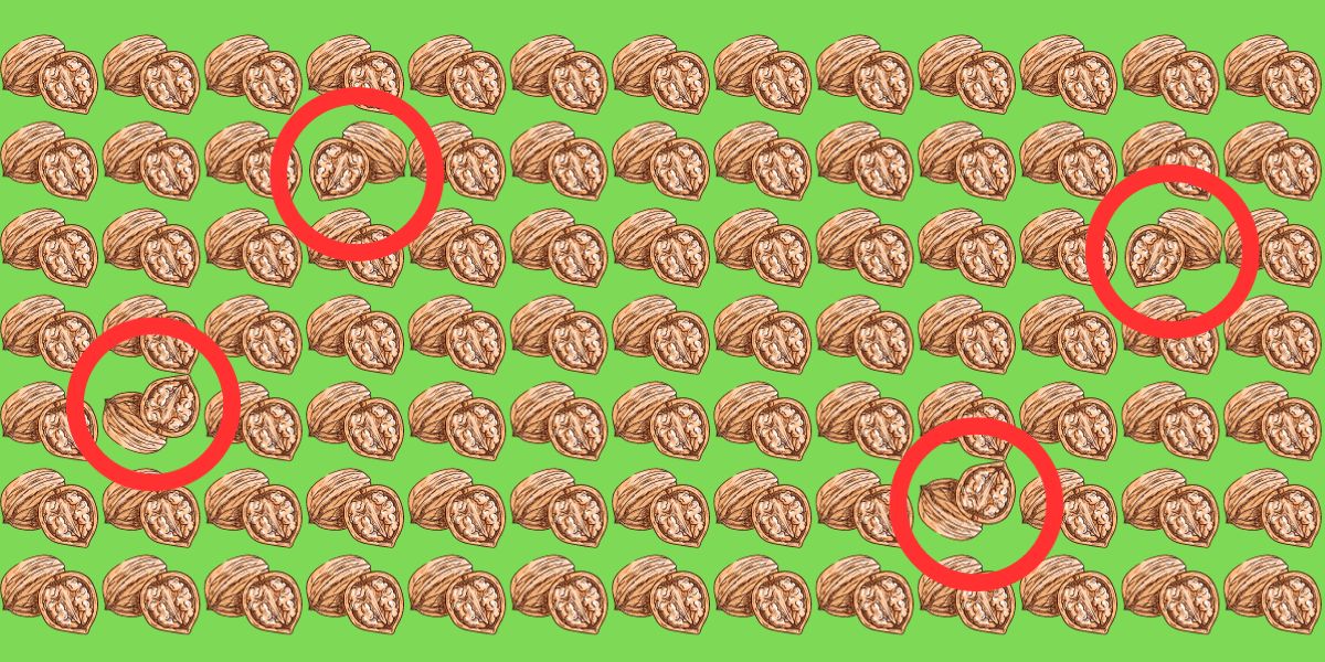 Pouvez-vous repérer les 4 noix différentes en moins de 12 secondes ? Testez vos yeux d'aigle avec ce défi visuel réservé aux plus vifs !