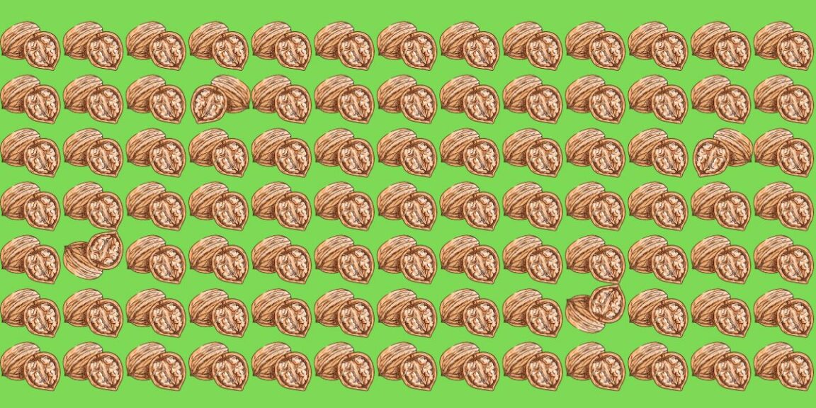 Pouvez-vous repérer les 4 noix différentes en moins de 12 secondes ? Testez vos yeux d'aigle avec ce défi visuel réservé aux plus vifs !
