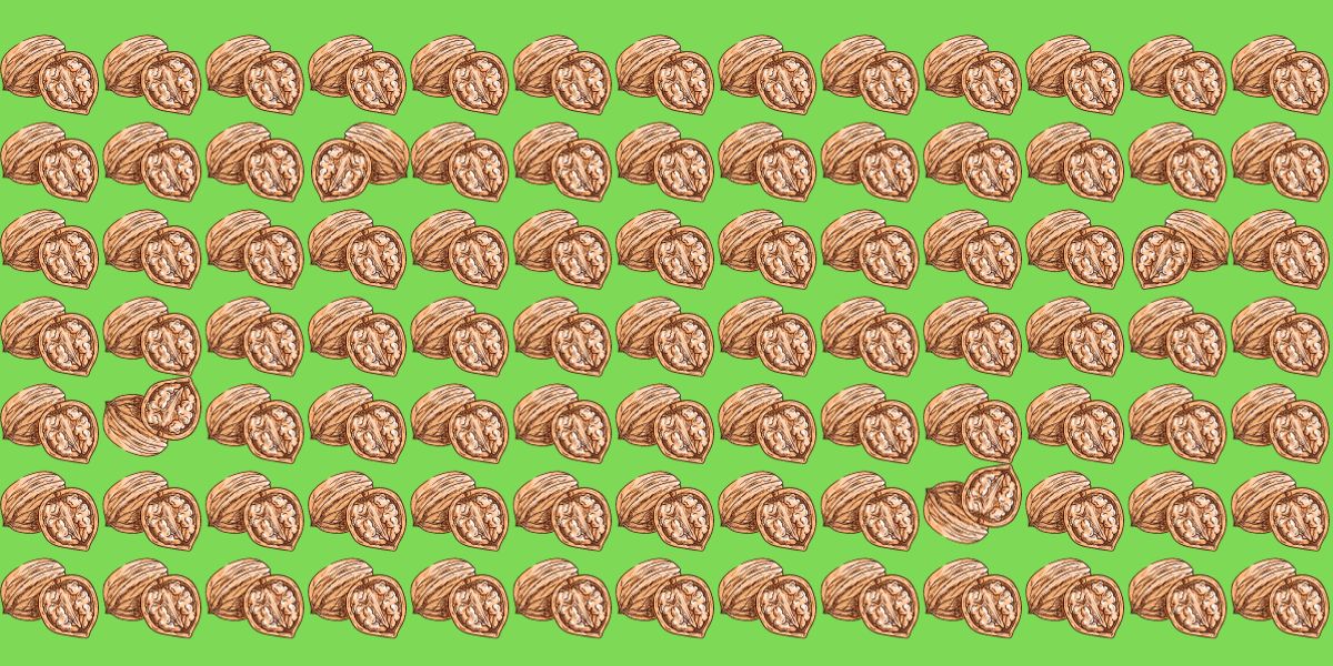Pouvez-vous repérer les 4 noix différentes en moins de 12 secondes ? Testez vos yeux d'aigle avec ce défi visuel réservé aux plus vifs !