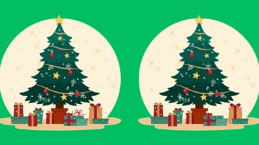 Mettez vos yeux à l'épreuve ! Pouvez-vous repérer les 3 différences entre ces sapins de Noël en moins de 15 secondes ?