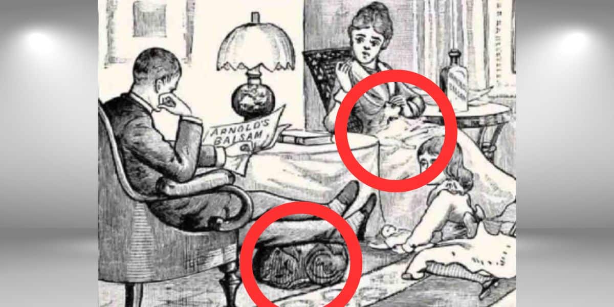 Saurez-vous repérer les 2 chats dans ce portrait de famille ? Seules les personnes ayant un QI élevé peuvent réaliser ce défi visuel en 15 secondes maximum !