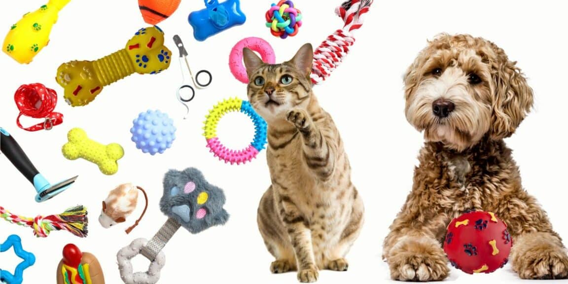Quels sont les jouets animaux les plus ludiques pour votre compagnon à quatre pattes ?