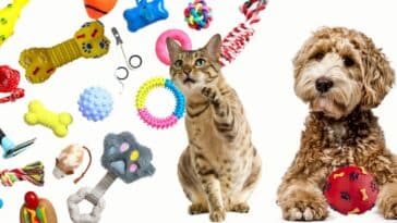 Quels sont les jouets animaux les plus ludiques pour votre compagnon à quatre pattes ?