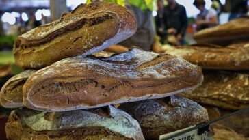 découvrez l'art du pain fait maison avec nos recettes faciles et délicieuses. apprenez à pétrir, façonner et cuire votre propre pain pour des moments savoureux en famille ou entre amis.