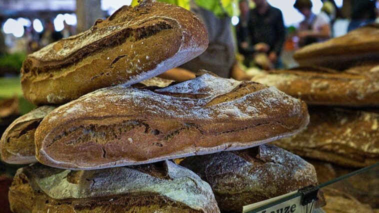 découvrez l'art du pain fait maison avec nos recettes faciles et délicieuses. apprenez à pétrir, façonner et cuire votre propre pain pour des moments savoureux en famille ou entre amis.