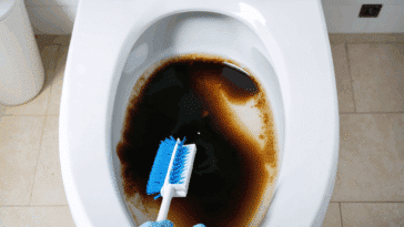 découvrez pourquoi des traces noires apparaissent au fond des wc et apprenez des méthodes efficaces pour les éliminer rapidement et maintenir vos toilettes propres.